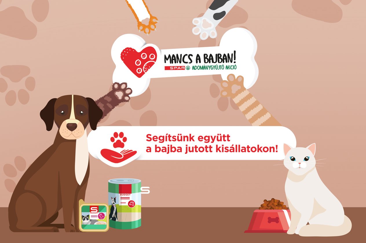 Mancs a bajban! - a SPAR adománygyűjtő akciójának illusztrációja kutyával és cicával