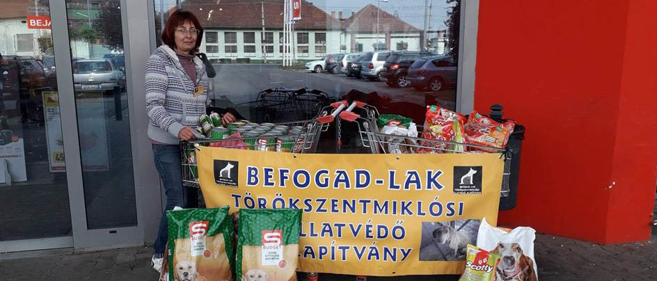 Adománygyűjtés a SPAR üzletekben